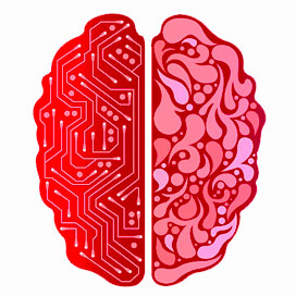 Brain